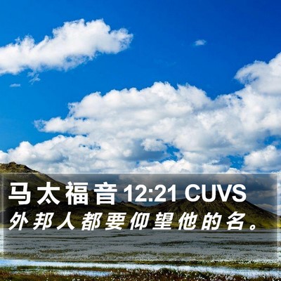 马 太 福 音 12:21 CUVS Bible Verse Image