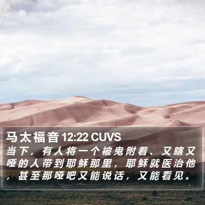 马 太 福 音 12:22 CUVS Bible Verse Image