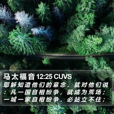 马 太 福 音 12:25 CUVS Bible Verse Image