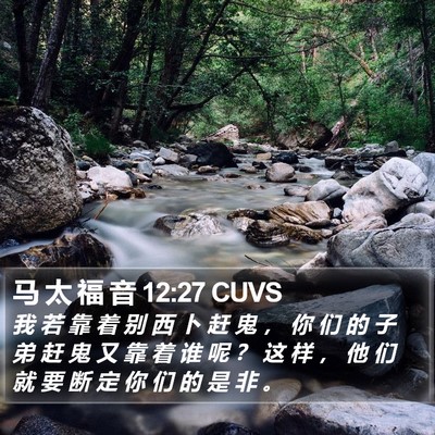 马 太 福 音 12:27 CUVS Bible Verse Image