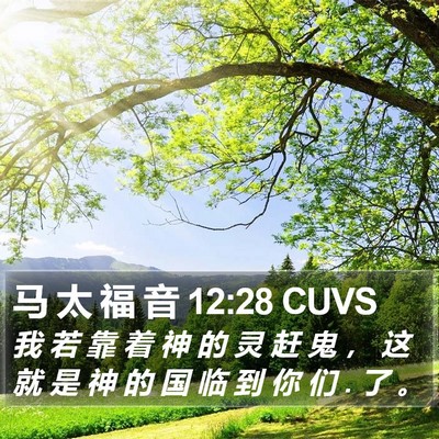 马 太 福 音 12:28 CUVS Bible Verse Image