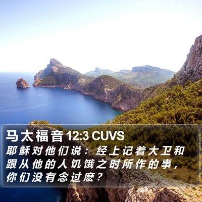 马 太 福 音 12:3 CUVS Bible Verse Image
