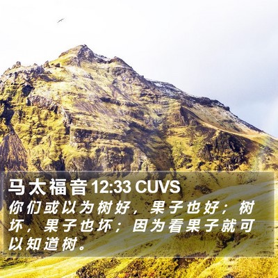 马 太 福 音 12:33 CUVS Bible Verse Image