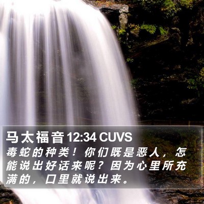 马 太 福 音 12:34 CUVS Bible Verse Image