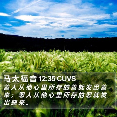 马 太 福 音 12:35 CUVS Bible Verse Image