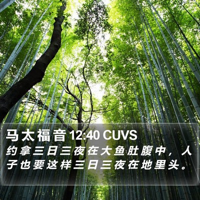 马 太 福 音 12:40 CUVS Bible Verse Image