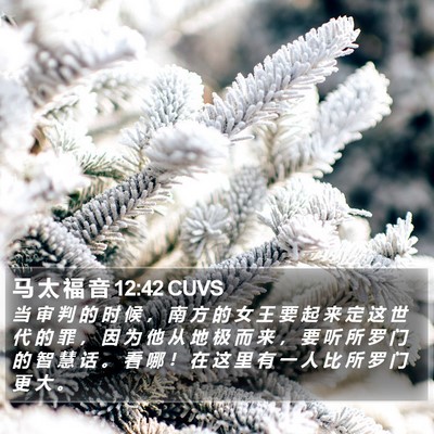 马 太 福 音 12:42 CUVS Bible Verse Image