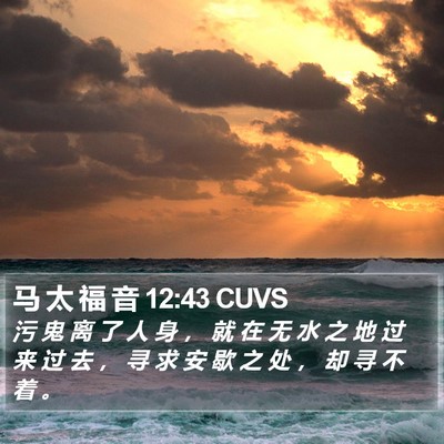 马 太 福 音 12:43 CUVS Bible Verse Image