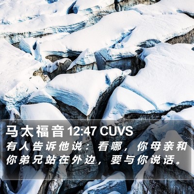 马 太 福 音 12:47 CUVS Bible Verse Image