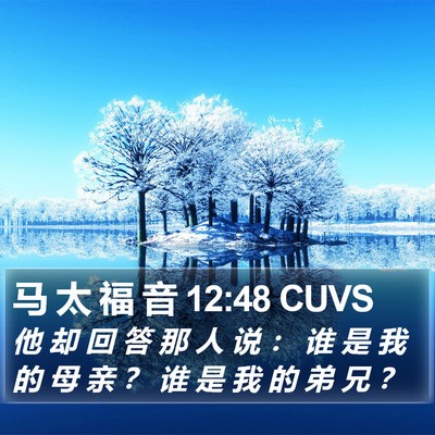 马 太 福 音 12:48 CUVS Bible Verse Image