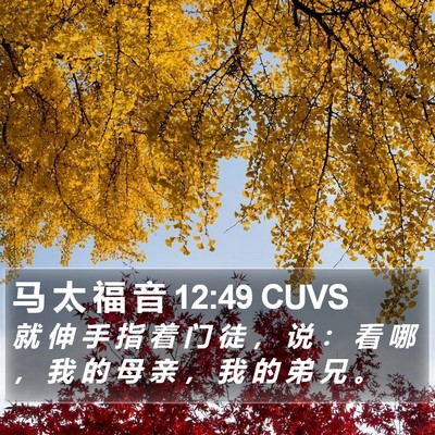 马 太 福 音 12:49 CUVS Bible Verse Image