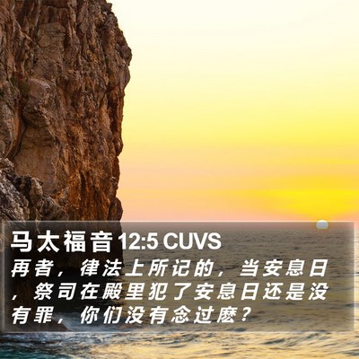 马 太 福 音 12:5 CUVS Bible Verse Image