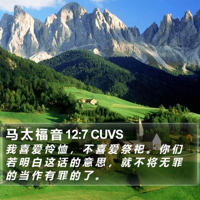 马 太 福 音 12:7 CUVS Bible Verse Image