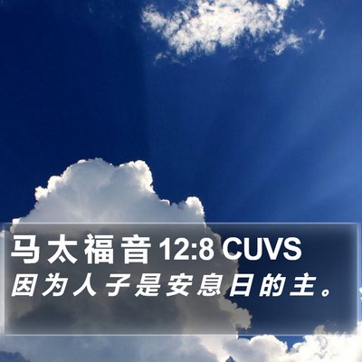 马 太 福 音 12:8 CUVS Bible Verse Image