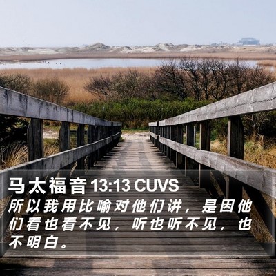 马 太 福 音 13:13 CUVS Bible Verse Image