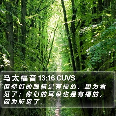 马 太 福 音 13:16 CUVS Bible Verse Image