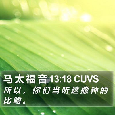 马 太 福 音 13:18 CUVS Bible Verse Image