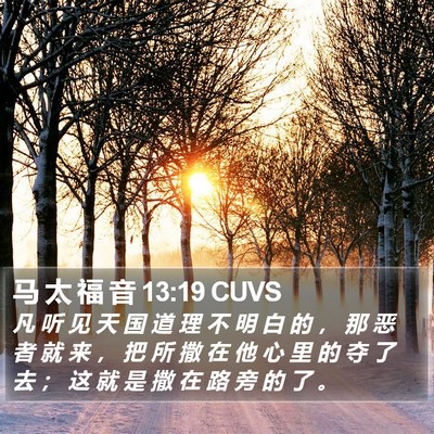 马 太 福 音 13:19 CUVS Bible Verse Image