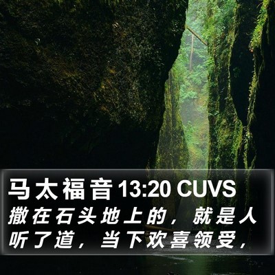 马 太 福 音 13:20 CUVS Bible Verse Image