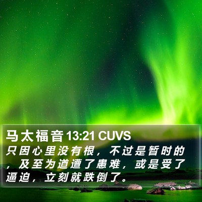 马 太 福 音 13:21 CUVS Bible Verse Image
