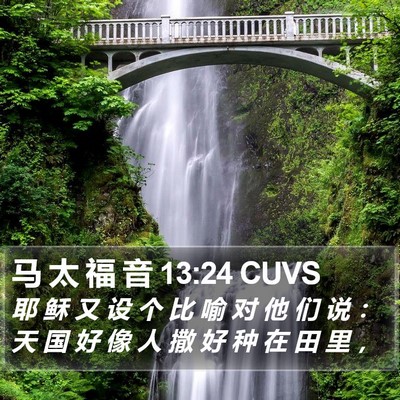 马 太 福 音 13:24 CUVS Bible Verse Image