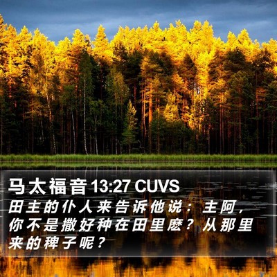 马 太 福 音 13:27 CUVS Bible Verse Image