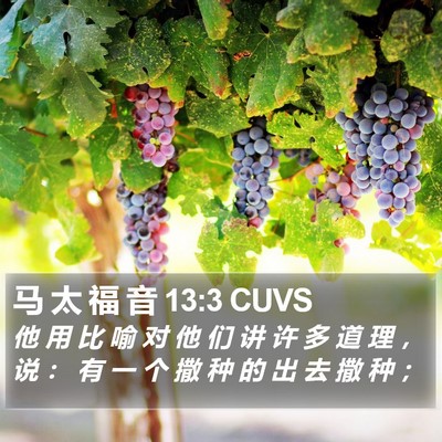 马 太 福 音 13:3 CUVS Bible Verse Image
