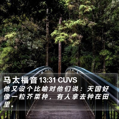 马 太 福 音 13:31 CUVS Bible Verse Image