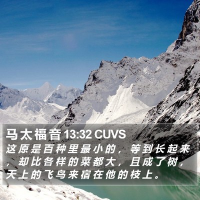 马 太 福 音 13:32 CUVS Bible Verse Image