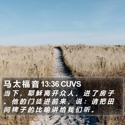 马 太 福 音 13:36 CUVS Bible Verse Image