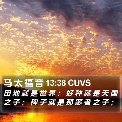 马 太 福 音 13:38 CUVS Bible Verse Image
