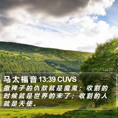 马 太 福 音 13:39 CUVS Bible Verse Image