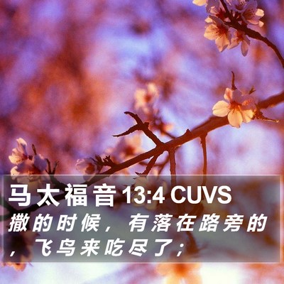 马 太 福 音 13:4 CUVS Bible Verse Image