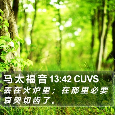 马 太 福 音 13:42 CUVS Bible Verse Image