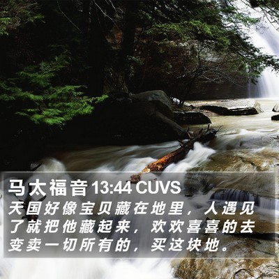 马 太 福 音 13:44 CUVS Bible Verse Image