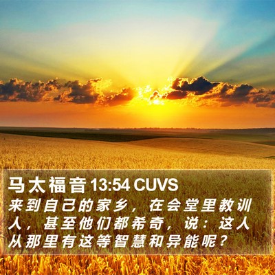 马 太 福 音 13:54 CUVS Bible Verse Image