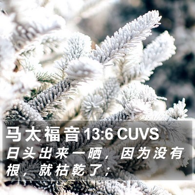 马 太 福 音 13:6 CUVS Bible Verse Image
