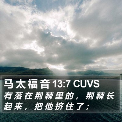 马 太 福 音 13:7 CUVS Bible Verse Image