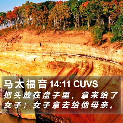马 太 福 音 14:11 CUVS Bible Verse Image