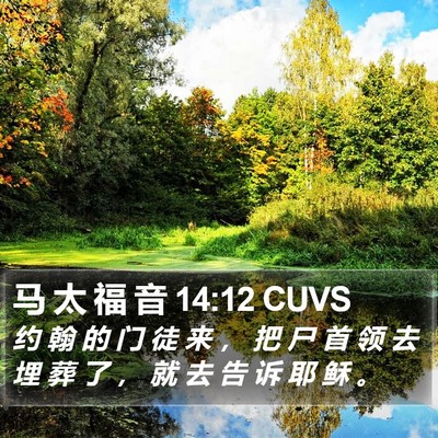 马 太 福 音 14:12 CUVS Bible Verse Image