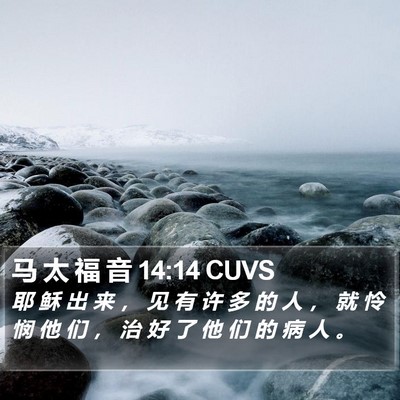 马 太 福 音 14:14 CUVS Bible Verse Image