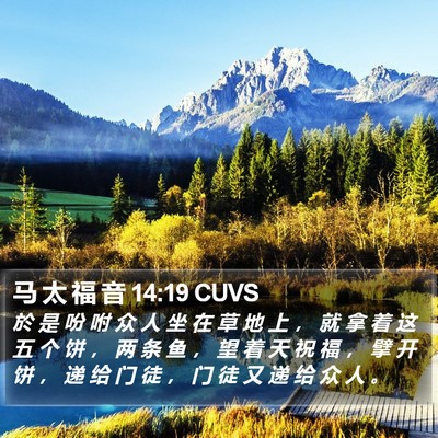 马 太 福 音 14:19 CUVS Bible Verse Image