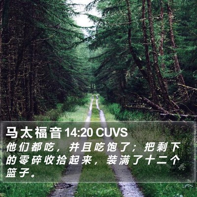 马 太 福 音 14:20 CUVS Bible Verse Image