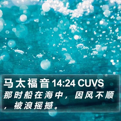 马 太 福 音 14:24 CUVS Bible Verse Image