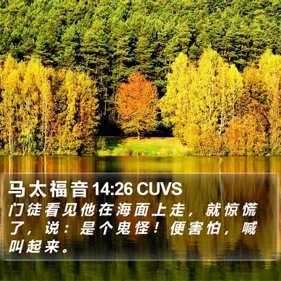 马 太 福 音 14:26 CUVS Bible Verse Image