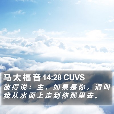 马 太 福 音 14:28 CUVS Bible Verse Image
