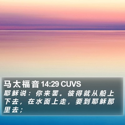 马 太 福 音 14:29 CUVS Bible Verse Image