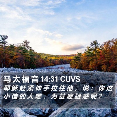 马 太 福 音 14:31 CUVS Bible Verse Image