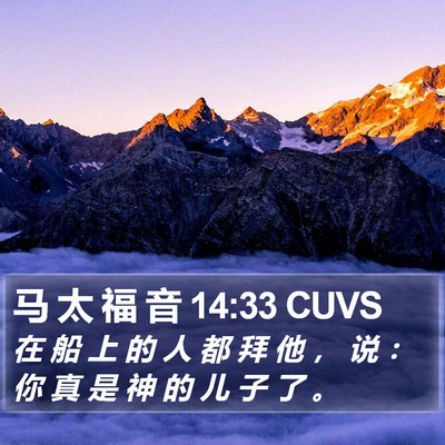 马 太 福 音 14:33 CUVS Bible Verse Image
