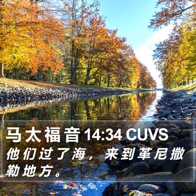 马 太 福 音 14:34 CUVS Bible Verse Image